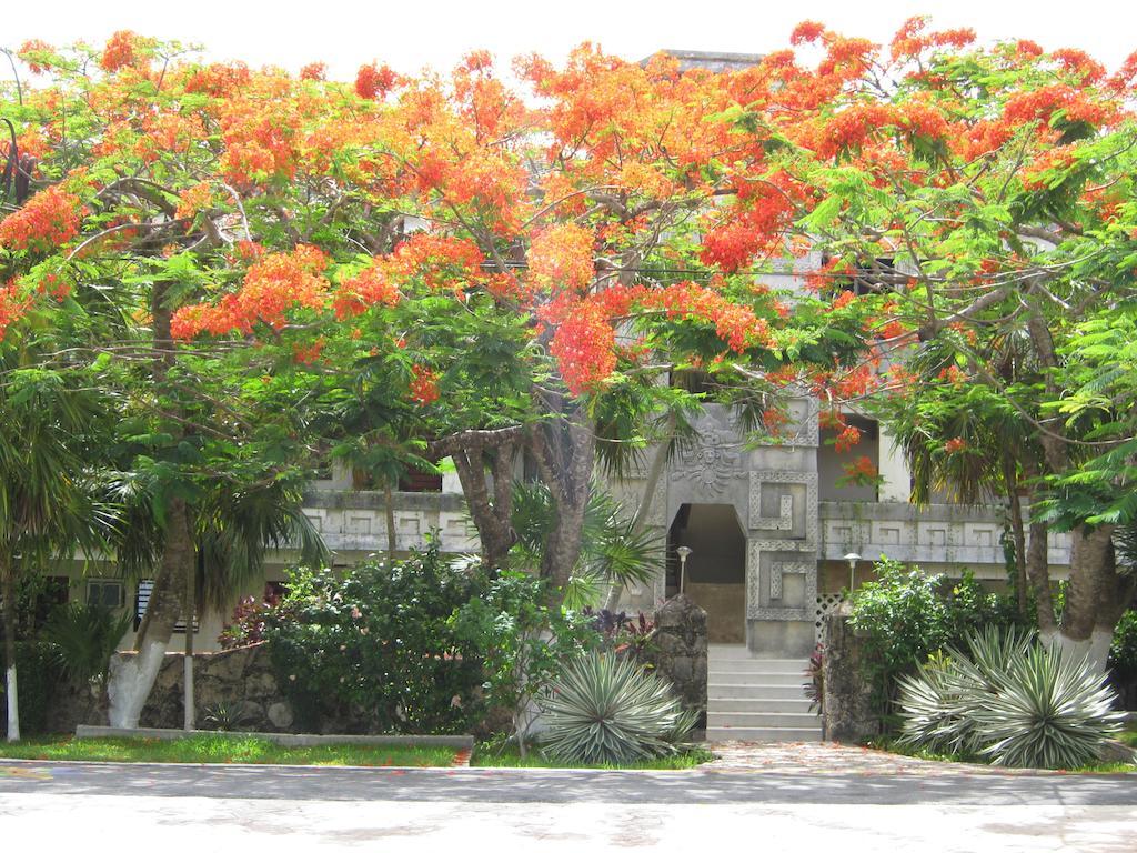 Appartement Condumel à Cozumel Chambre photo